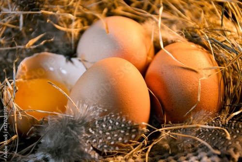 Easter culinary background of fresh homemade eggs in rustic country style with straw and feathers
