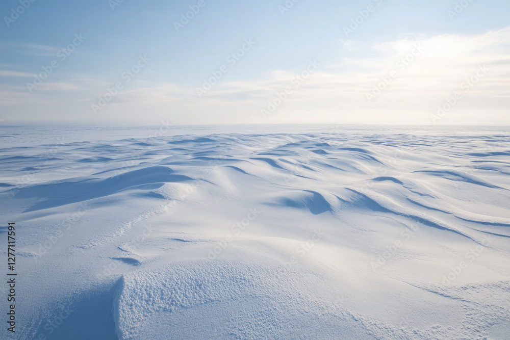 A vast, snowy tundra stretching infinitely into the distance, with soft powdery textures, icy blue reflections, and a crisp, arctic wind shaping the drifts. A vast, snowy tundra stretching infinitely into the distance, with soft powdery textures, icy blue reflections, and a crisp, arctic wind shaping the drifts.