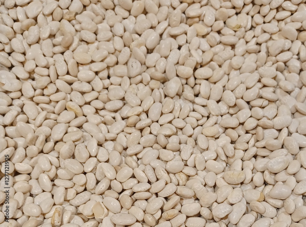Close-up of Raw White Beans – Dry Legumes for Cooking and Healthy Plant-Based Nutrition. Foto Close-up of Raw White Beans – Dry Legumes for Cooking and Healthy Plant-Based Nutrition. Foto