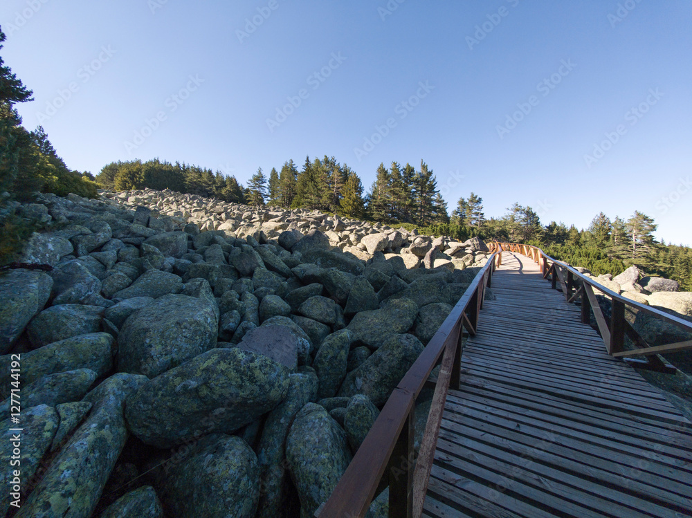 Fototapeta premium Autumn Landscape of Vitosha Mountain, Bulgaria