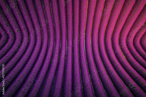 Abstract design featuring curved patterns in vibrant shades of purple and pink created through textured surface arrangement