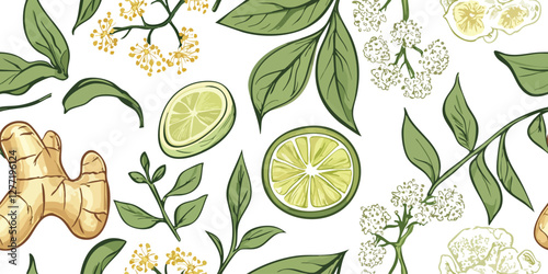 Seamless vector pattern of fresh vegetables on white background, root of ginger, lemon, mint, Jasmine tea, botanical illustration background