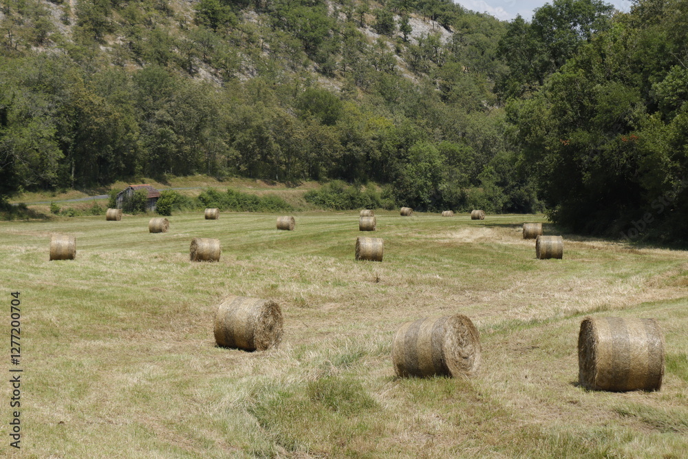 SAINT- BERTRAND- DE -COMINGUES- FRANCIA- SAINT- BERTRAND- DE -COMINGUES- FRANCIA-