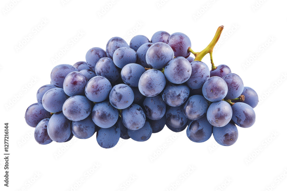 Bunch of blue grapes are on a white background, isolated Bunch of blue grapes are on a white background, isolated