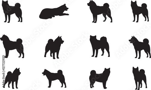 Akita Silhouette on White Background