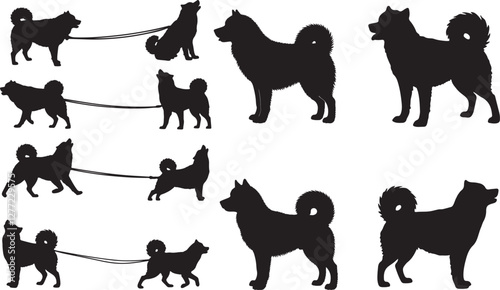 Alaskan Malamute Silhouette on White Background