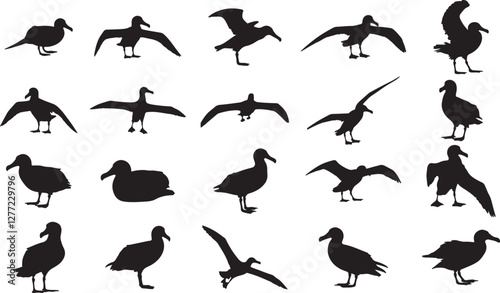 Albatross Silhouettes