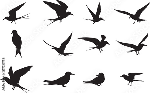 Arctic Tern Silhouettes
