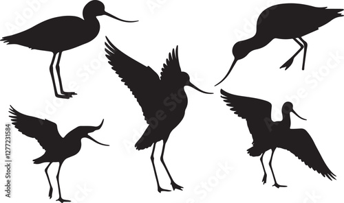 Avocet Silhouettes