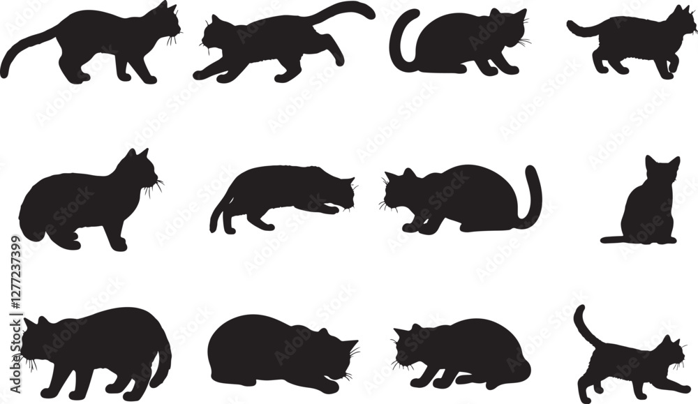 Black-Footed Cat Silhouettes Black-Footed Cat Silhouettes
