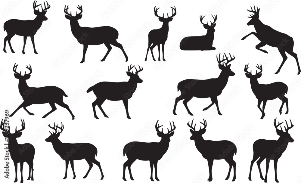 Fototapeta premium Black-Tailed Deer Silhouettes