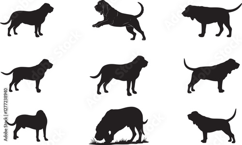 Bloodhound Silhouette on White Background