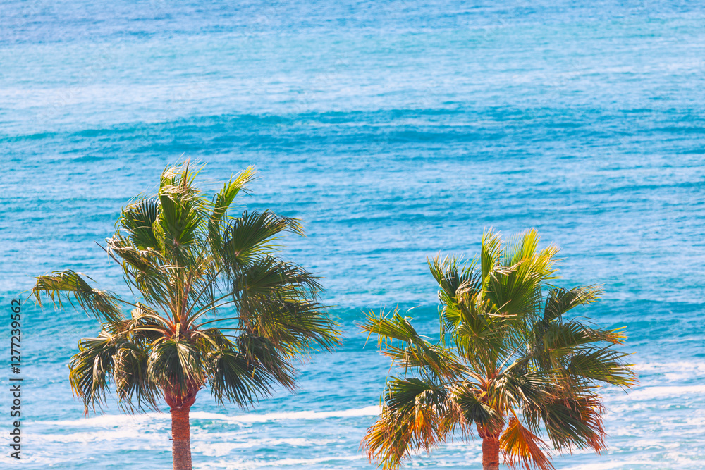 Two palm trees stand tall against a vibrant blue ocean. Coastal scene featuring lush palm trees and a tranquil expanse of water. Tropical paradise scenery