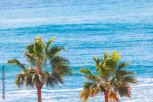 Obraz na płótnie Two palm trees stand tall against a vibrant blue ocean. Coastal scene featuring lush palm trees and a tranquil expanse of water. Tropical paradise scenery w salonie