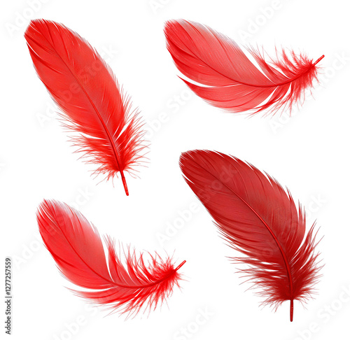 set of red feathers png