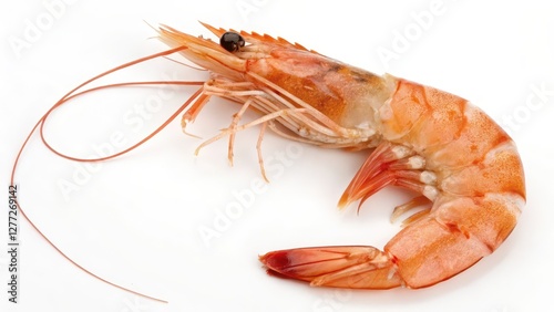 Wallpaper Mural Single Shrimp on White Background Torontodigital.ca