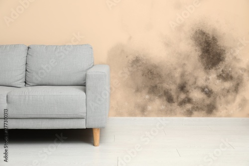 Sofa near beige wall with mold