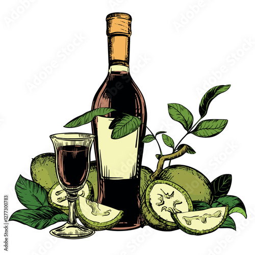 Vector Walnut liqueur in color engraving technique. Unripe walnut seeds whole and halves and leaves. Bottle of Italian liqueur Nocino, glass with aperitif and green walnuts. Linear ink sketch.