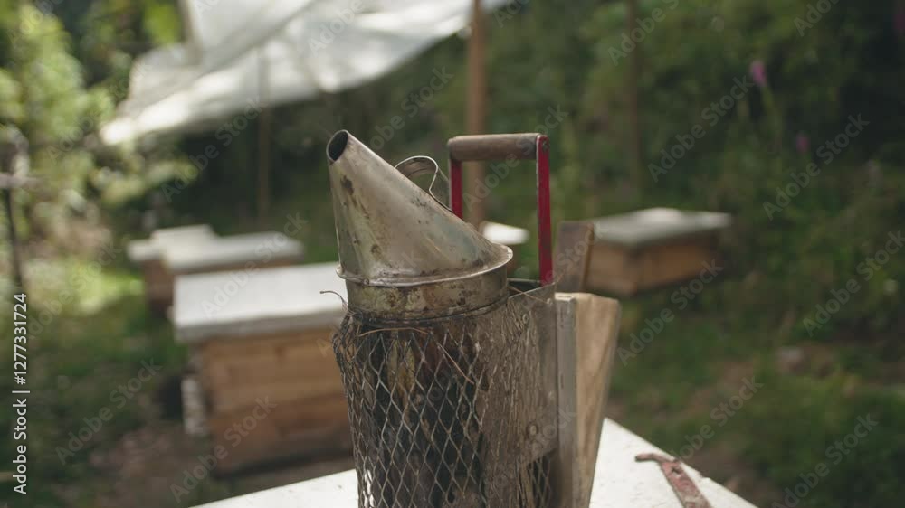 Beekeepers working with bees to produce honey to protect nature in an ecologically fair manner Beekeepers working with bees to produce honey to protect nature in an ecologically fair manner