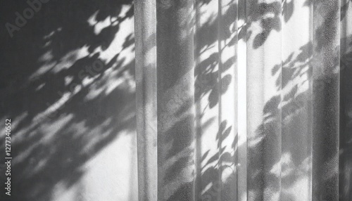 black and white shadow background