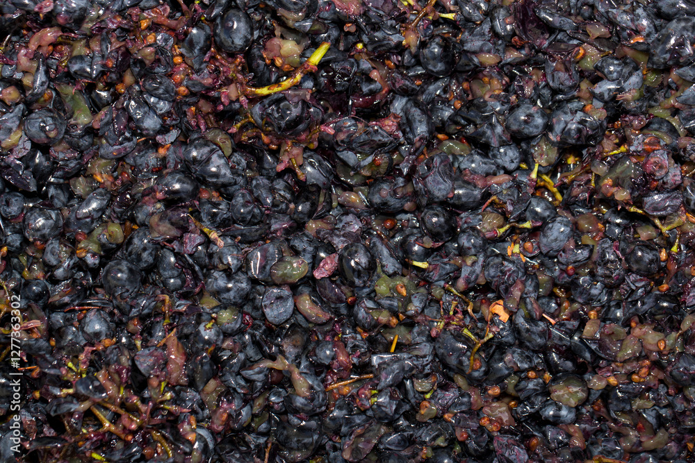 Wine material, grape juice - must, stum, maun. Technology of wine production in Moldova. The folk tradition of making wine. The ancient tradition of grape processing. Wine material, grape juice - must, stum, maun. Technology of wine production in Moldova. The folk tradition of making wine. The ancient tradition of grape processing.