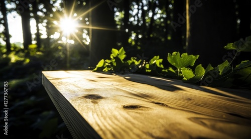 Sunlit Wooden Table  Forest Background  Tranquil Nature Scene