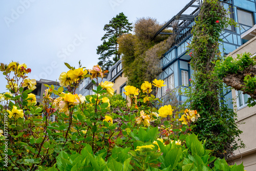 Famous Lombard Street, building with flowers in San Francisco, California 
