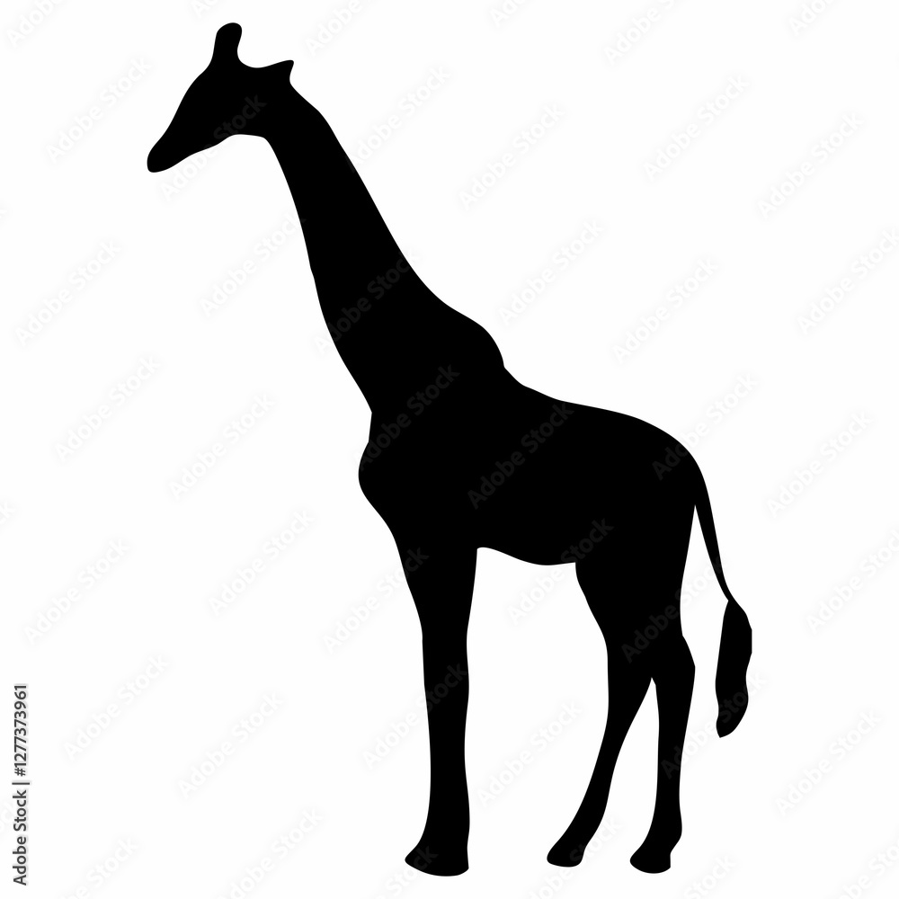 Fototapeta premium giraffe silhouette with long neck