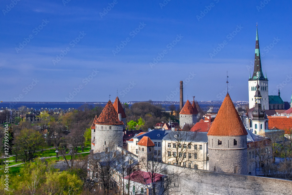 Fototapeta premium タリン,