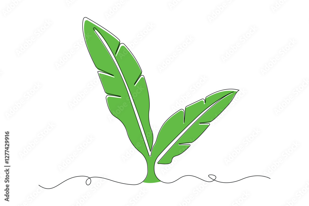 Continuous line art drawing of banana leaf. Vector illustration. Continuous line art drawing of banana leaf. Vector illustration.