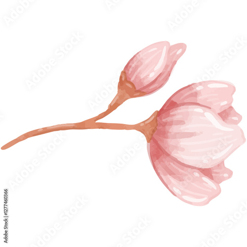 A budding sakura branch showing early blooms in watercolor highlighting the onset of spring