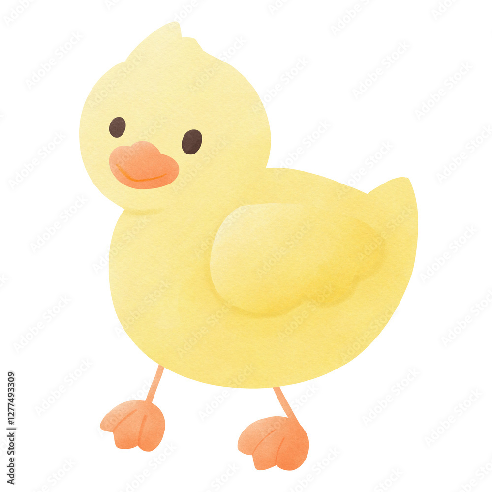 Chicken Chicken