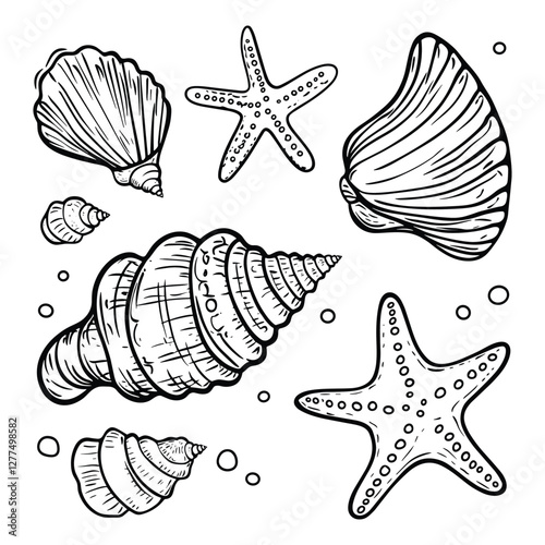 Seashells and Starfish Coastal Illustration