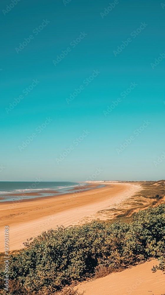 Sunny beach landscape, tranquil scene, desert shore Sunny beach landscape, tranquil scene, desert shore