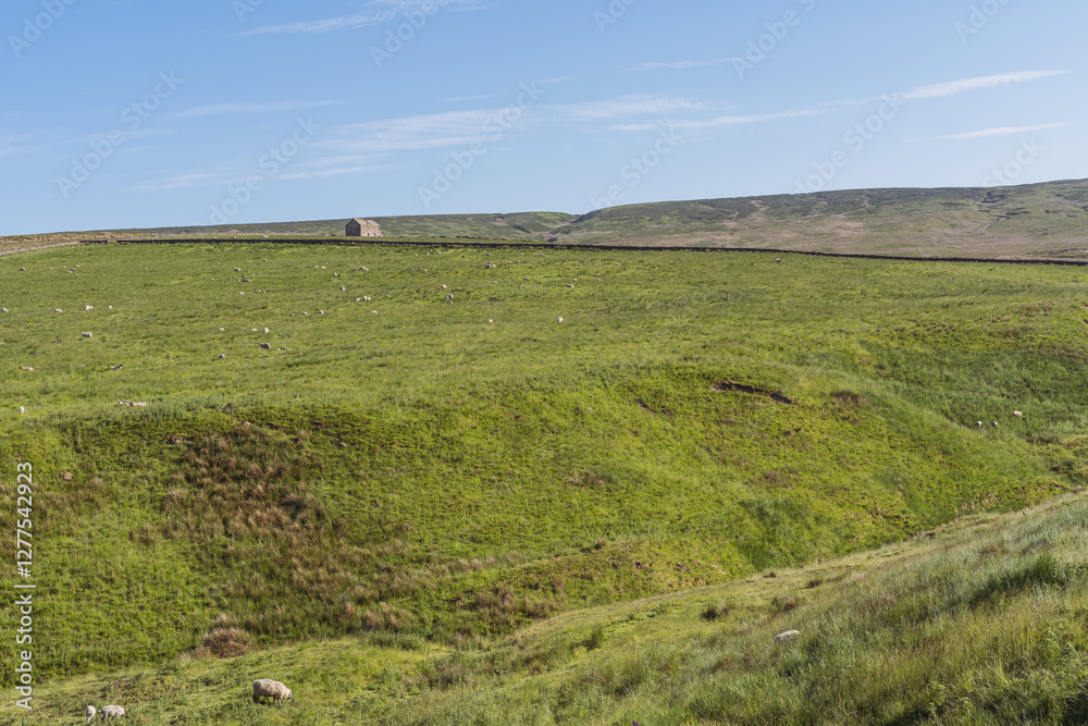 Obraz premium Landscape in the Peak District between Coalcleugh and Ropehaugh, England, UK