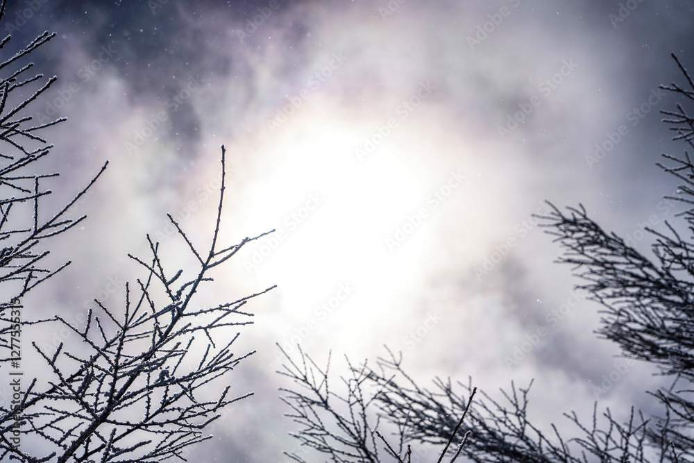 白銀の世界に広がる幻想的な冬景色