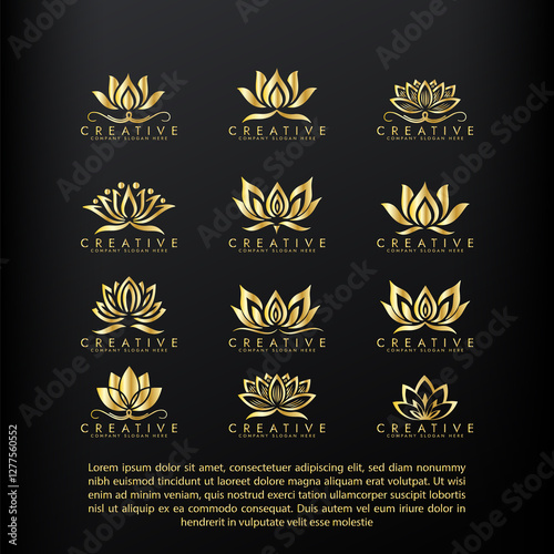 Abstract lotus logo design, Stylized lotus flower icon design 