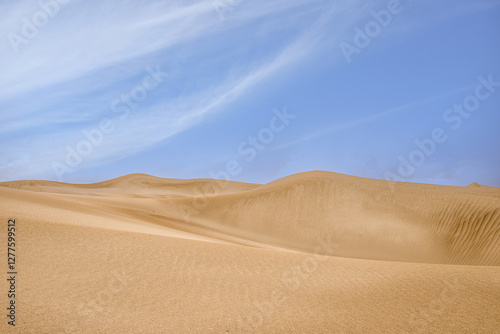 Fototapeta Naklejka Na Ścianę i Meble -  Sand dunes, Cactus beach South Australia