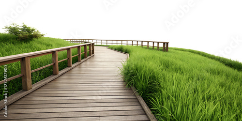 wooden terrace with green grass isolated on a white background, png