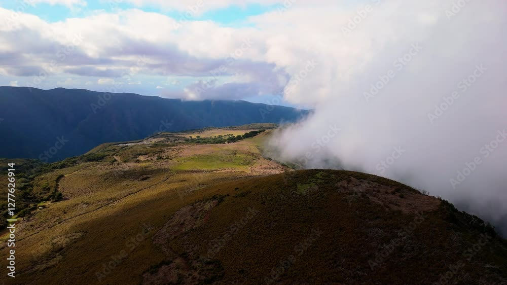 Discover breathtaking views and lush landscapes on Madeira Island's high peaks during a misty day adventure Discover breathtaking views and lush landscapes on Madeira Island's high peaks during a misty day adventure