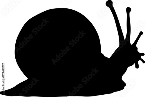 Snail silhouette illustration vector design.