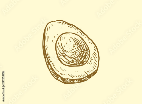 Illustration of an Fresh Vegetables Avocado Handdrawn