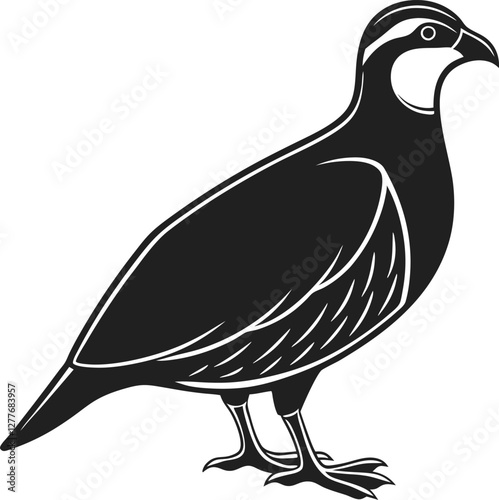 Chukar silhouette