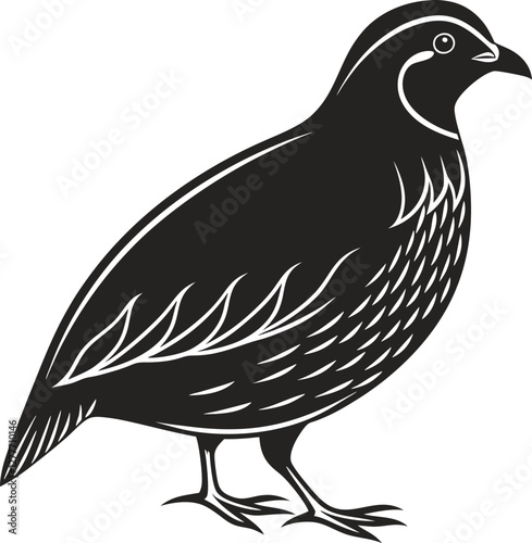 Chukar silhouette