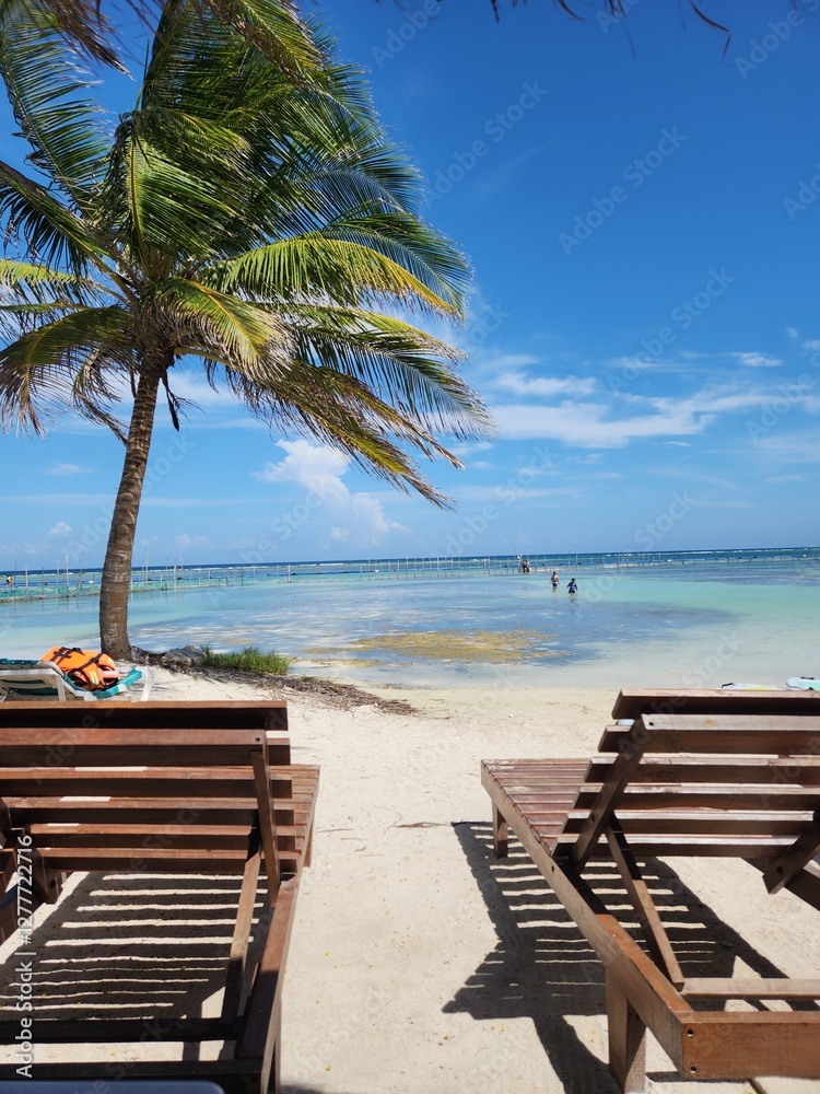 Obraz premium beach chairs on the beach