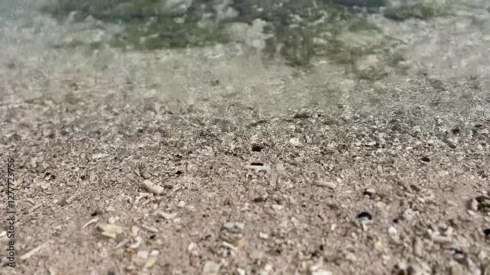 Calming water moving at the edge of the beach, previewing moss on the rock, coral flakes, and sand on it Calming water moving at the edge of the beach, previewing moss on the rock, coral flakes, and sand on it