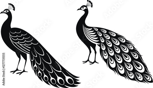 Peacock silhouette