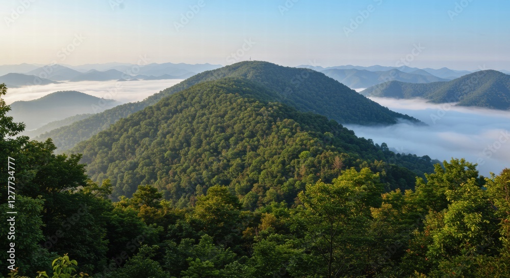 Photo of tropical forest landscape on a sunny day, white clouds are visible below the high mountains. Photo of tropical forest landscape on a sunny day, white clouds are visible below the high mountains.