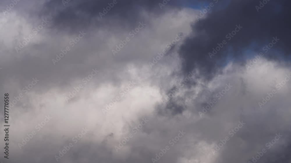 Floating Cumulus Clouds Under a Vibrant Blue Sky Floating Cumulus Clouds Under a Vibrant Blue Sky
