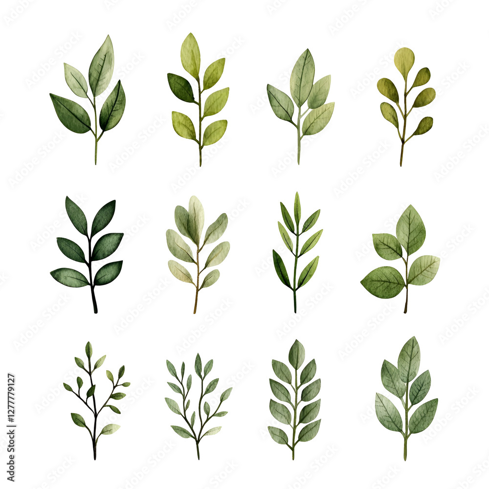 Collection of Hand-Drawn Greenery Elements for Design Projects Collection of Hand-Drawn Greenery Elements for Design Projects
